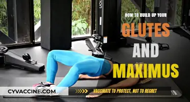 Sculpting Strong Glutes: A Comprehensive Guide to Building Your Maximus