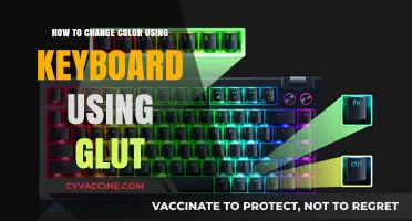 Mastering Color Changes with GLUT: A Keyboard Guide