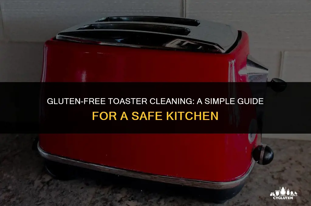 how to clean gluten out of toaster