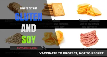 Gluten and Soy-Free Living: A Comprehensive Guide to Cutting Out These Common Allergens