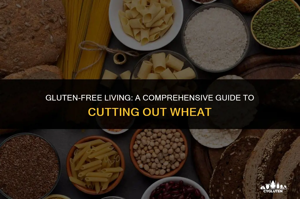 how to cut out gluten and wheat
