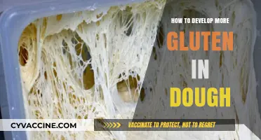 Unlocking the Secrets of Gluten Development in Dough