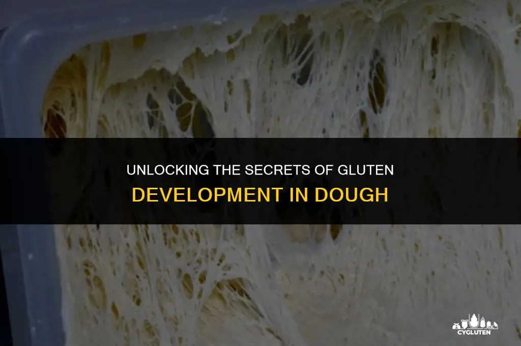 how to develop more gluten in dough