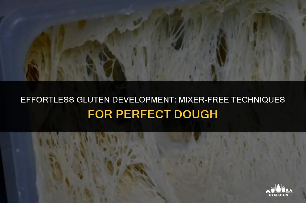 how to develop the gluten without mixer