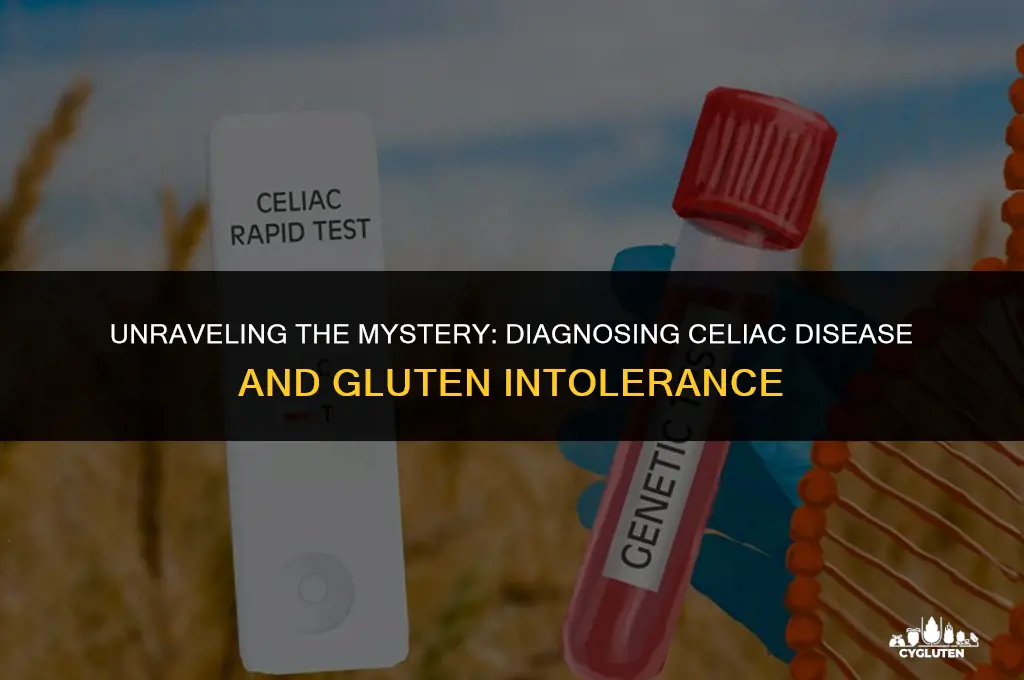 how to diagnose celiac disease and gluten intolerance