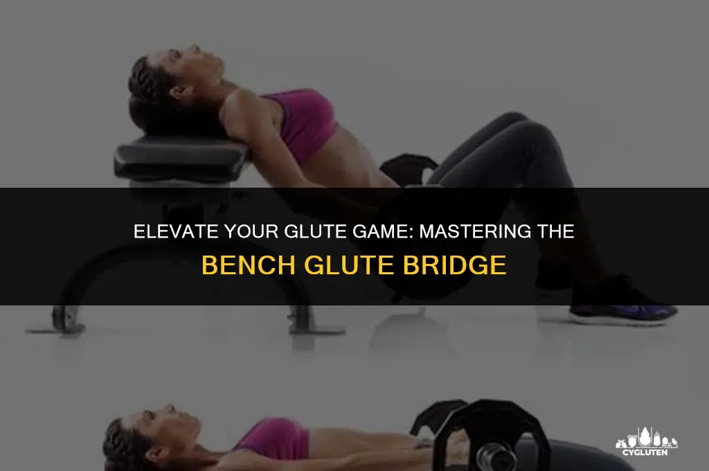 how to do a glute bridge on a bench