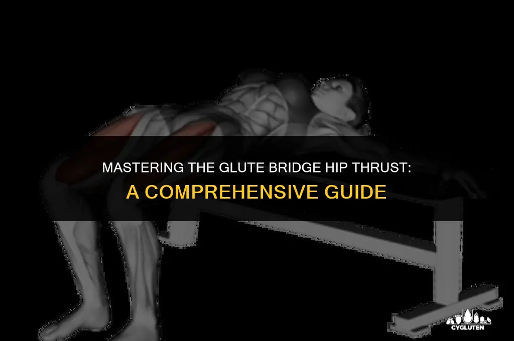 how to do glute bridge hip thrust