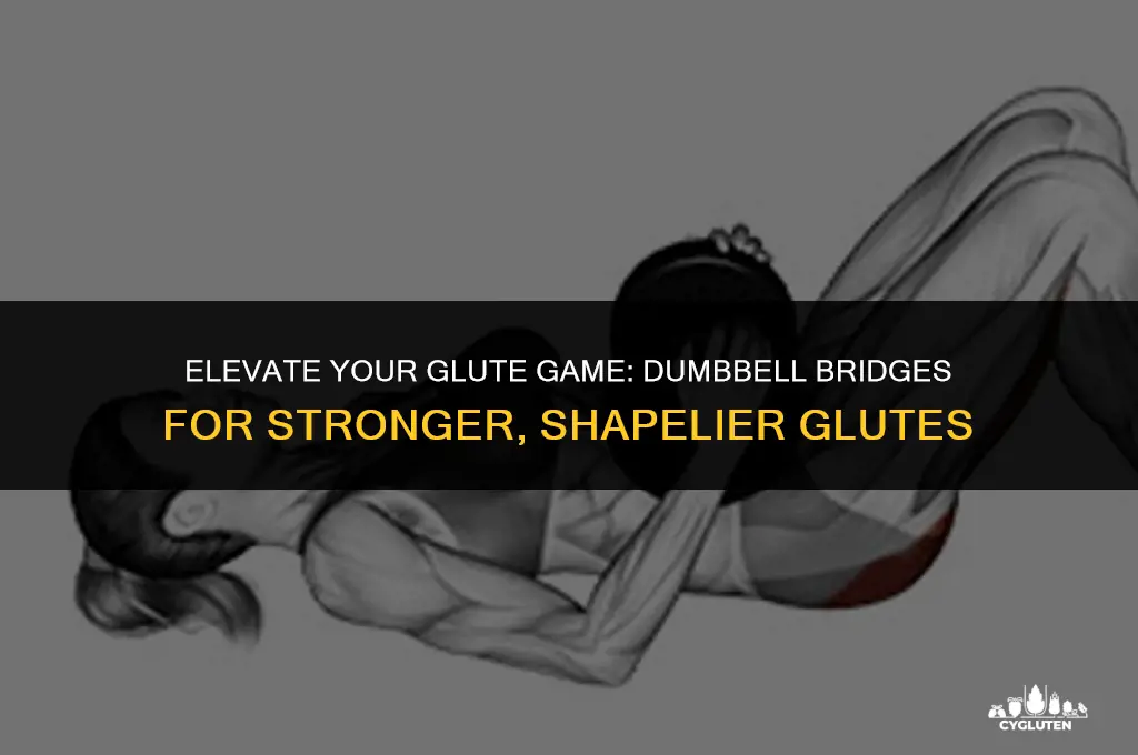 how to do glute bridge with dumbbell