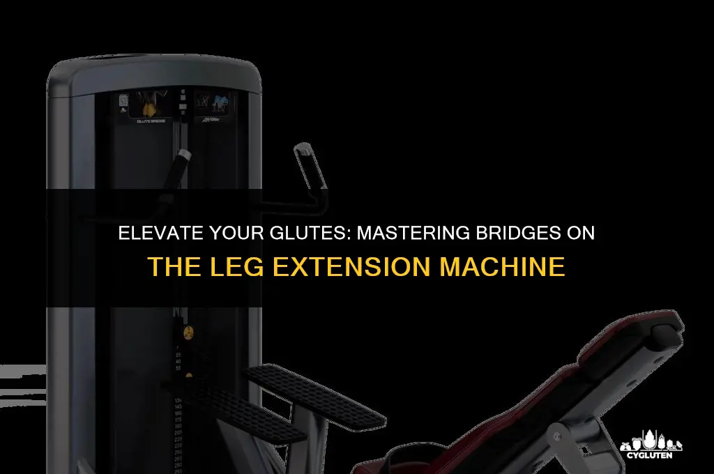 how to do glute bridges on leg extension machine