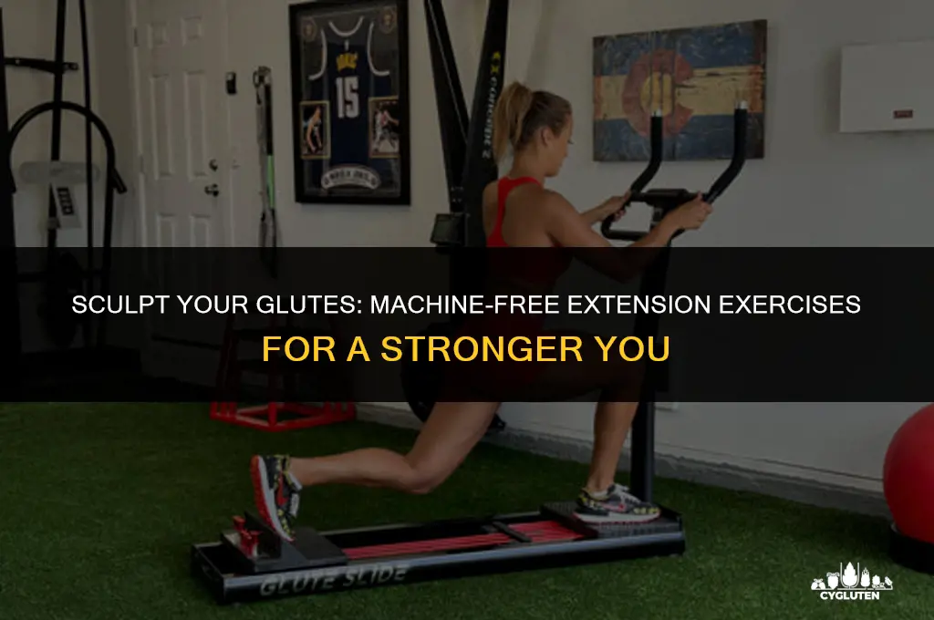 how to do glute extensions without machine