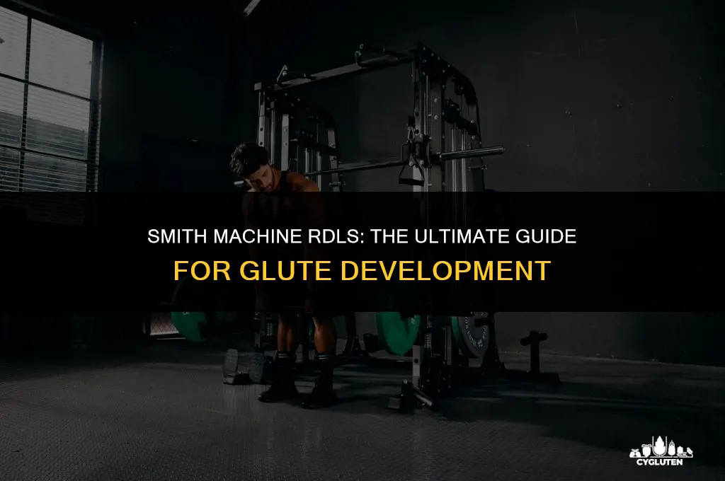 how to do rdls for glutes smith machine