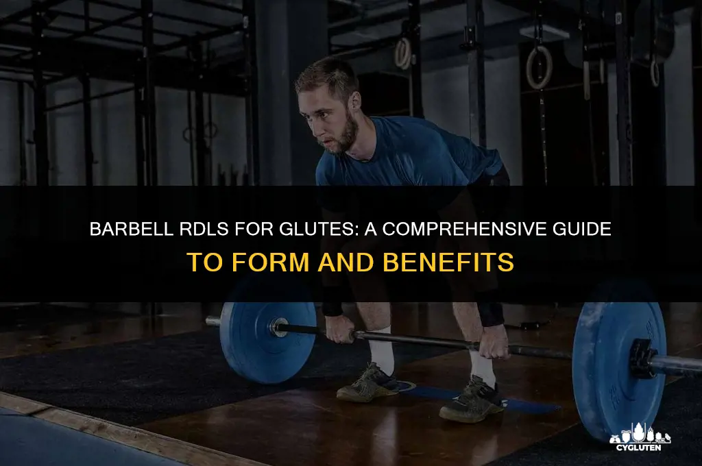 Barbell Rdls For Glutes: A Comprehensive Guide To Form And Benefits ...