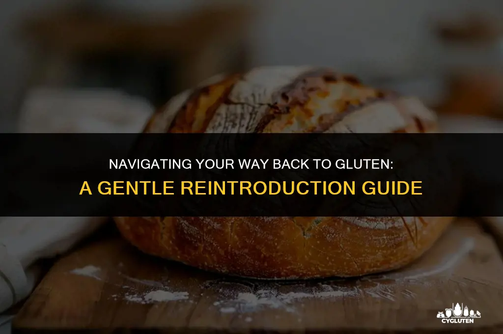 how to ease back into eating gluten