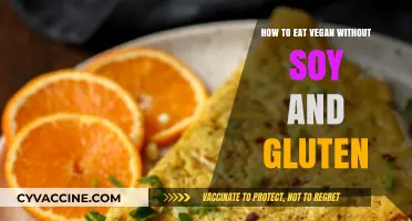 Exploring Flavorful Vegan Delights: A Soy-Free, Gluten-Free Journey