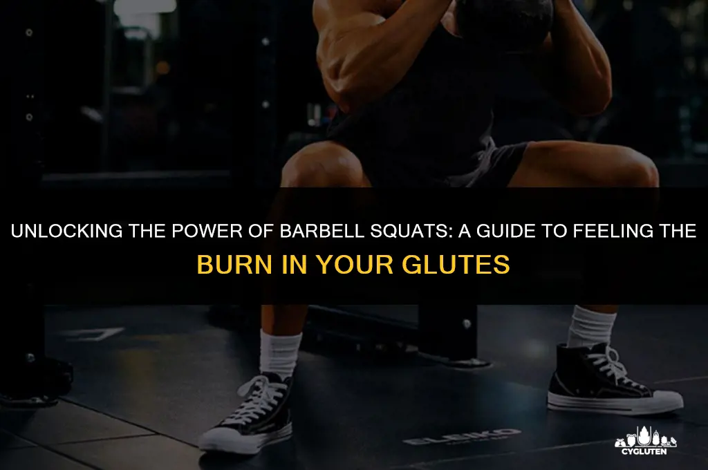 how to feel barbell squats in glutes