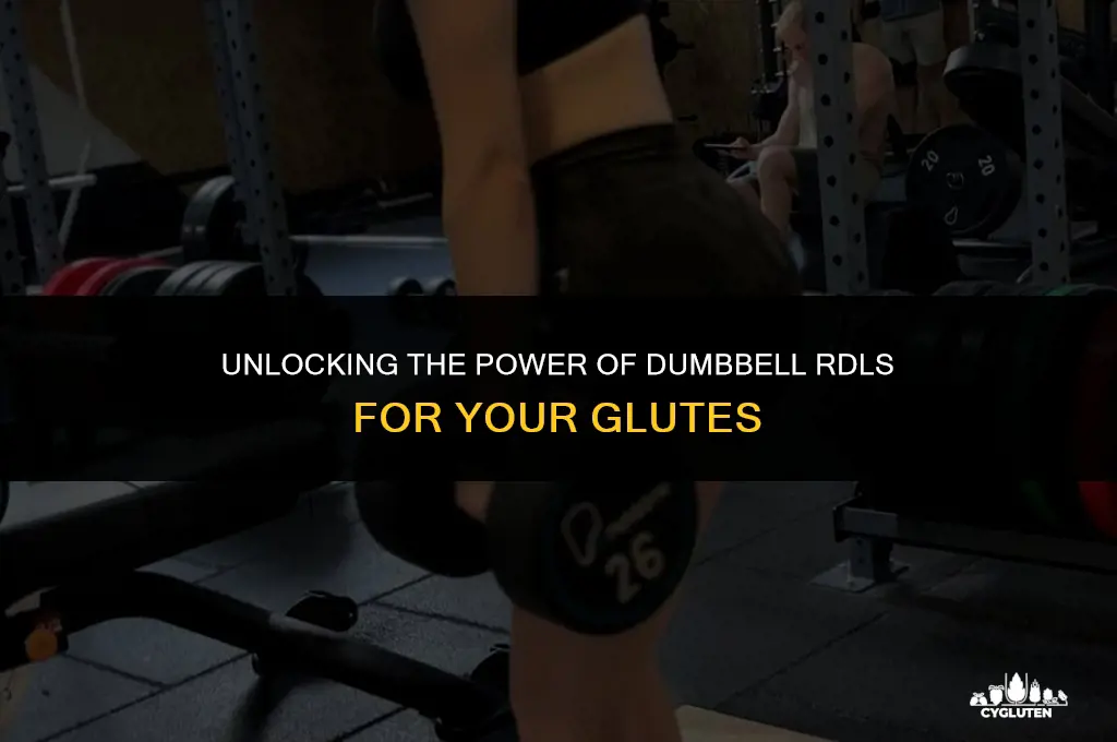 how to feel dumbbell rdl in glutes