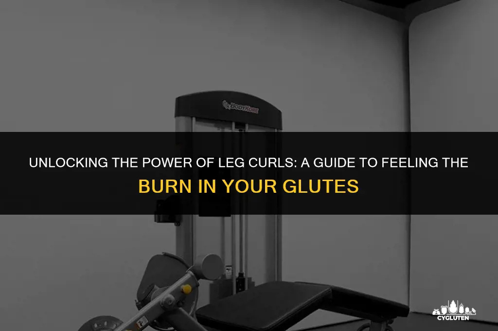 how to feel leg curl in glutes