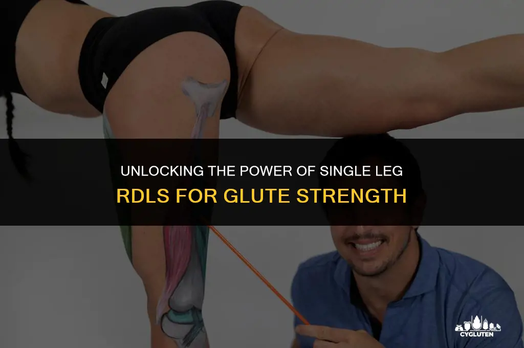 how to feel single leg rdl in glutes