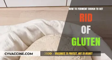 Unlocking Gluten-Free Baking: The Art of Dough Fermentation