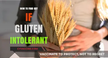Discovering Gluten Intolerance: Signs, Symptoms, and Solutions