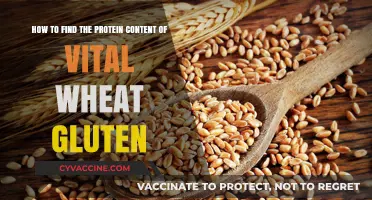 Unlocking Nutrition: A Guide to Protein Content in Vital Wheat Gluten