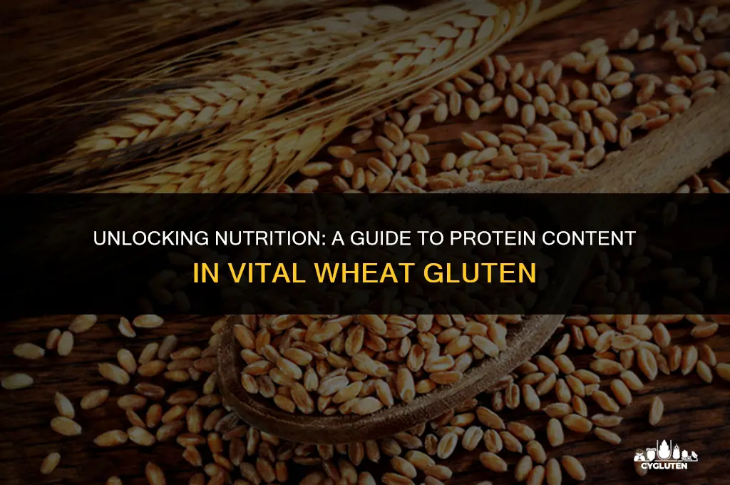 how to find the protein content of vital wheat gluten