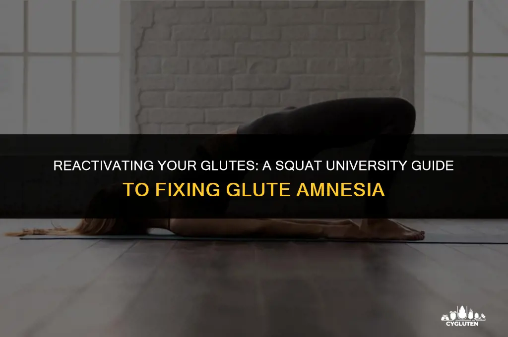 how to fix glute amnesia squat university