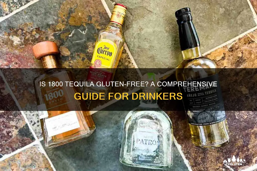 is 1800 tequila gluten free