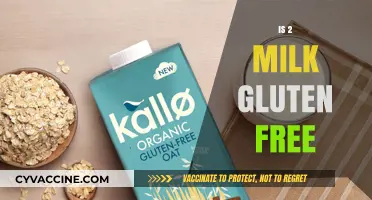 Is 2% Milk Gluten-Free? Understanding Dairy and Gluten Concerns