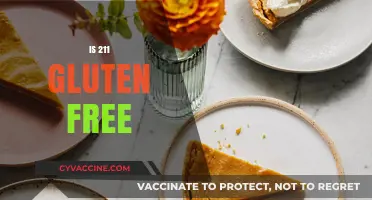 Is 211 Gluten Free? Unraveling the Mystery Behind the Number