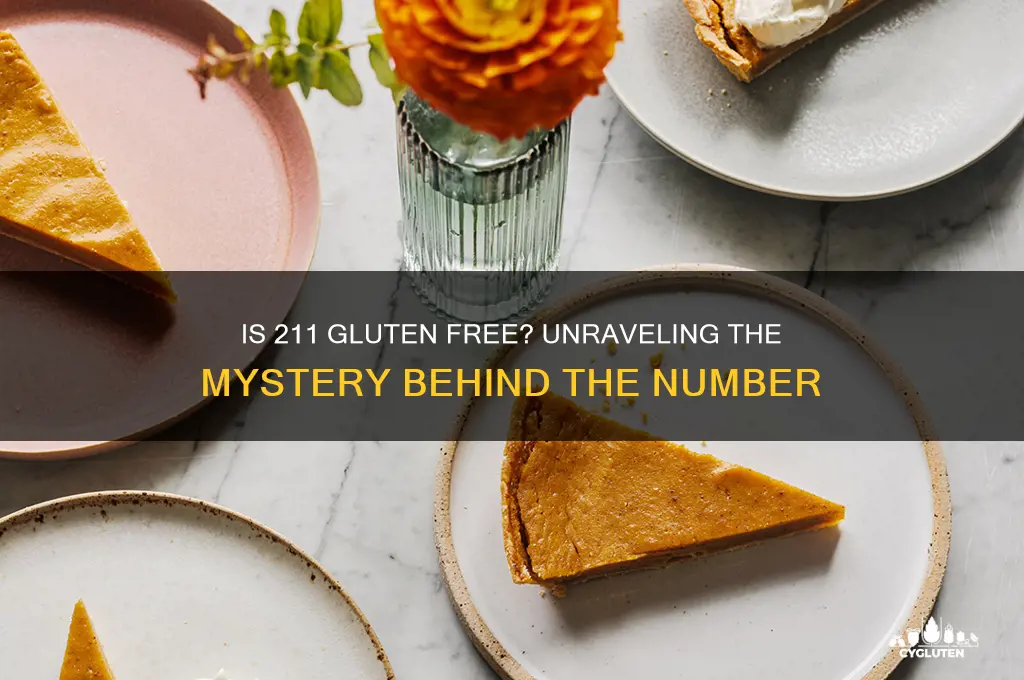 is 211 gluten free