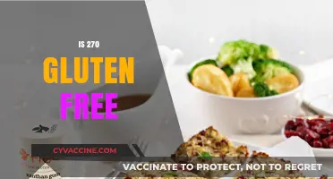 Is 270 Gluten Free? Unraveling the Mystery Behind This Popular Product