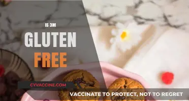 Is 3M Gluten-Free? Unraveling the Truth Behind the Brand