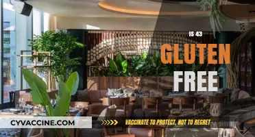 Is 43 Gluten Free? Unraveling the Mystery Behind This Question