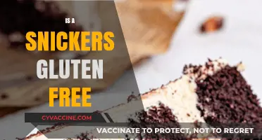 Is Snickers Gluten-Free? A Complete Guide to Your Favorite Candy
