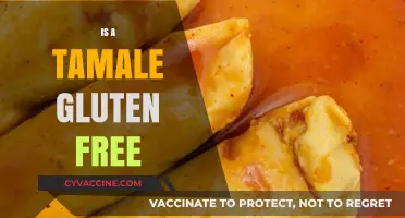 Are Tamales Gluten-Free? Unwrapping the Truth for Celiac Diets
