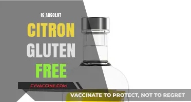 Is Absolut Citron Gluten-Free? A Clear Answer for Drinkers