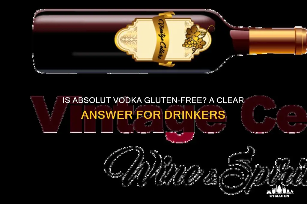 is absolut gluten-free