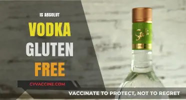 Is Absolut Vodka Gluten-Free? A Clear Answer for Celiac Sufferers
