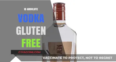 Is Absolute Vodka Gluten-Free? A Complete Guide for Drinkers