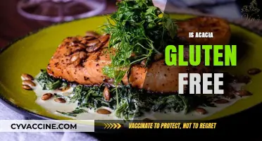 Is Acacia Gluten-Free? Unraveling the Truth for a Healthy Diet