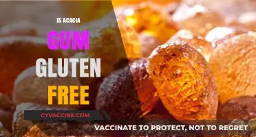 Is Acacia Gum Gluten-Free? A Comprehensive Guide for Dietary Needs