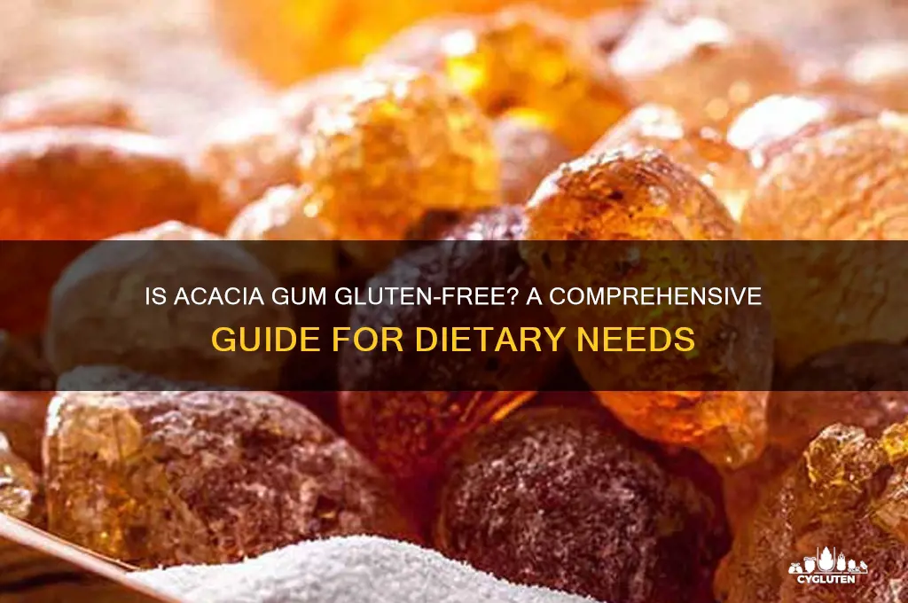 is acacia gum gluten free