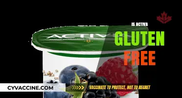 Is Activa Gluten Free? Unraveling the Facts for Your Diet