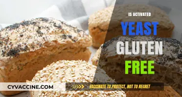 Is Activated Yeast Gluten-Free? A Clear Answer for Your Diet