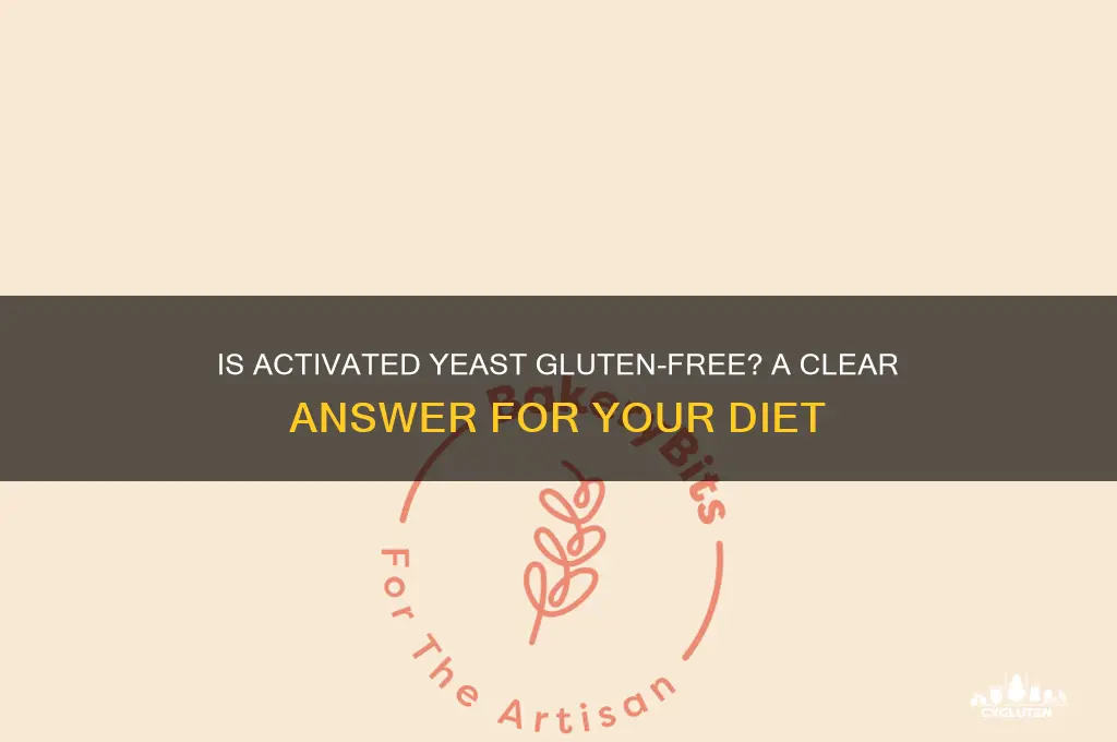 is activated yeast gluten free