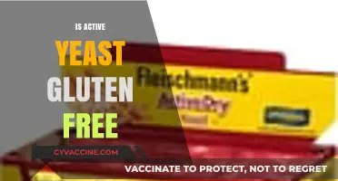 Is Active Yeast Gluten-Free? A Clear Answer for Your Diet