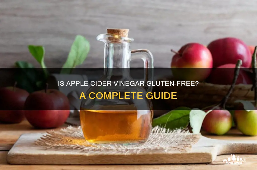 is acv gluten free