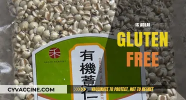Is Adlai Gluten-Free? Discover This Ancient Grain's Benefits