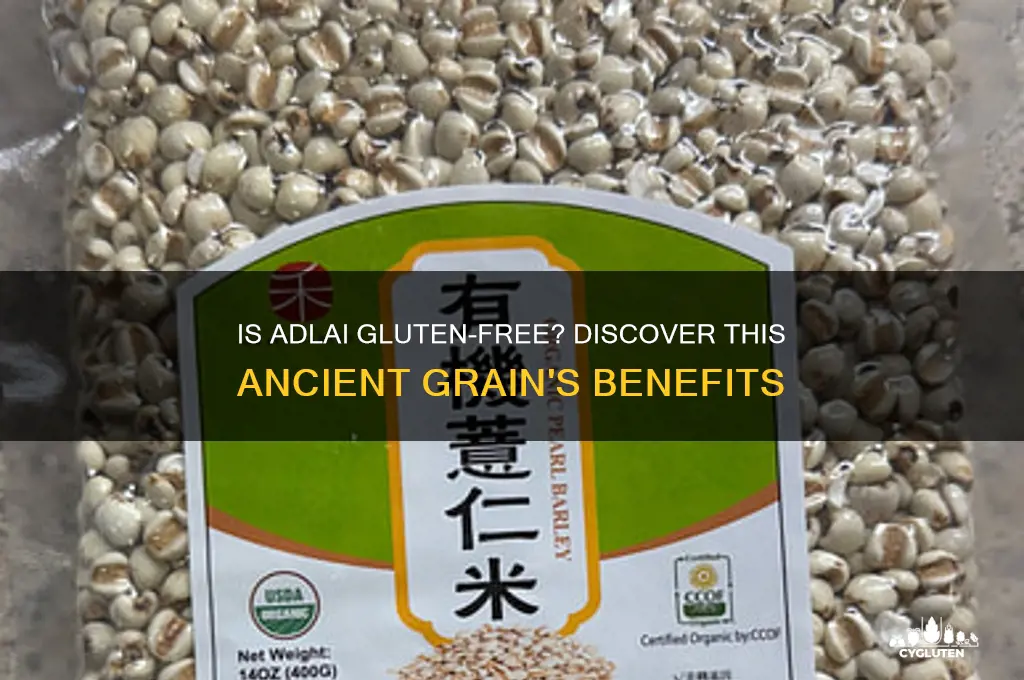 is adlai gluten free